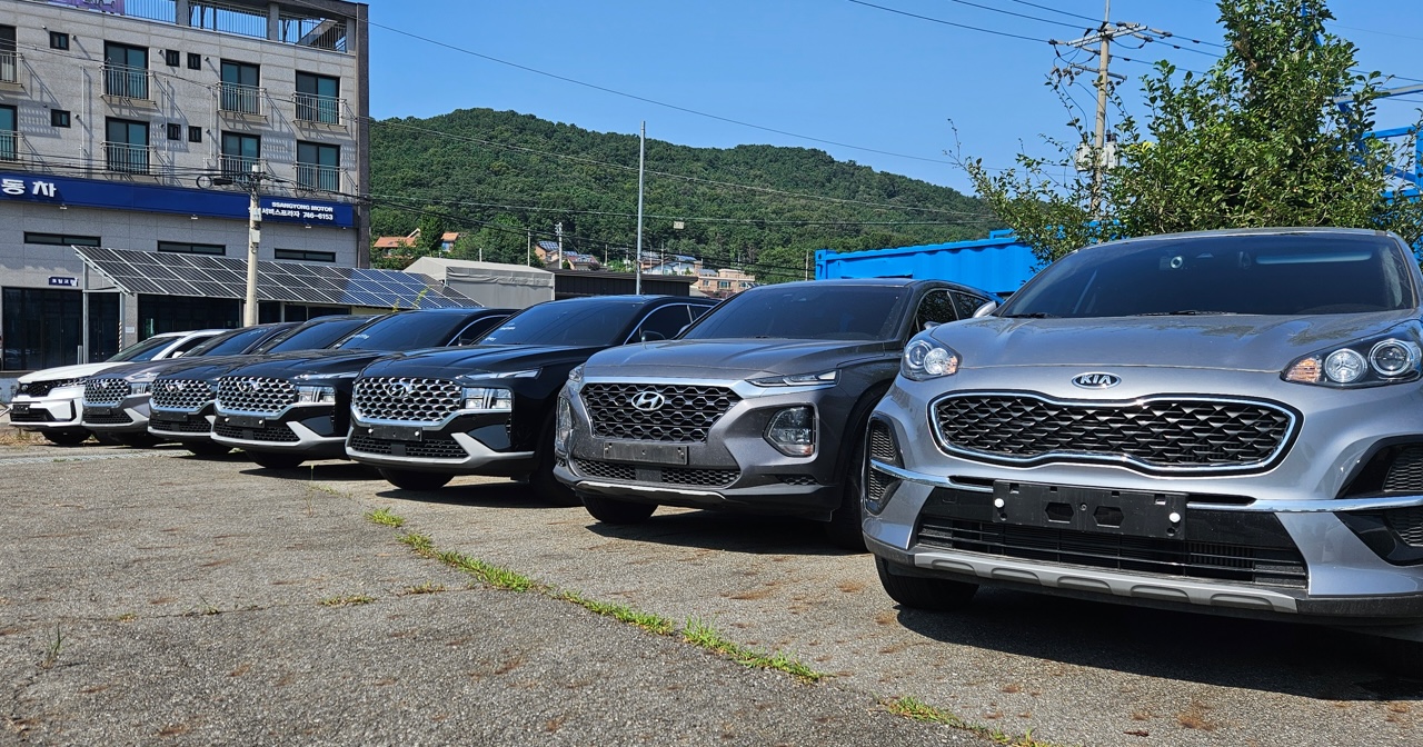 Cars lined up and ready to embark on their global journey.